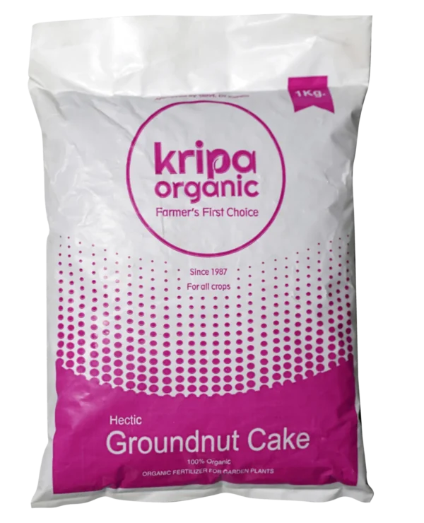 Groundnut Cake